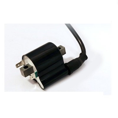 SWAN fuel Pump (FP70140) - Swan Ignition Coils