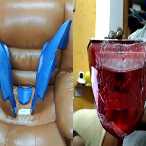 Honda Livo Tail Light Assembly and Tail Panel