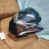 Honda-Shine-BS6-Black-Visor-Linkyweb.com-3.jpeg Honda Shine Headlight Visor Mask Fairing BS6 Black
