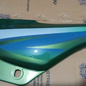 WhatsApp-Image-2025-02-07-at-12.37.11-PM-rotated-1.jpeg Bajaj Caliber 115 Side Panel Green (Set of 2)
