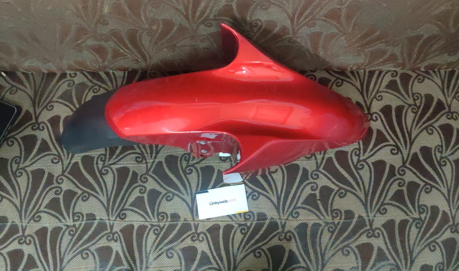 Dolphin Mudguard Red